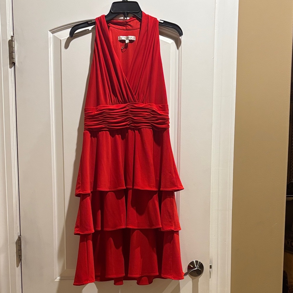 Evan Picone Vibrant Red Dress